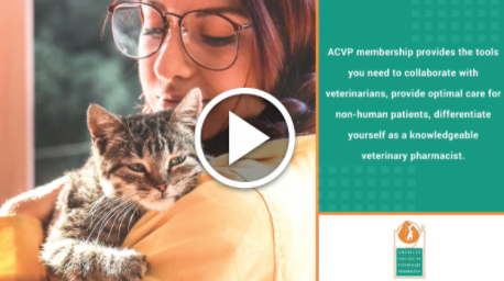 ACVP Membership Provides the Tools You Need [VIDEO]