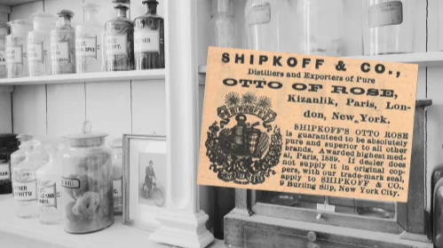Shipkoff & Co Otto Of Rose Vintage Ad